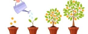 Grow business Grow business